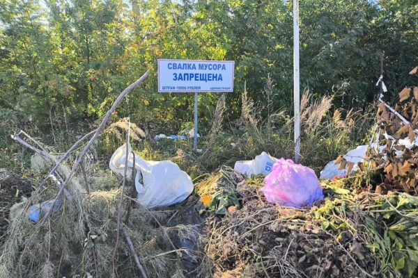 В Тамбове выстраивают систему вывоза растительных отходов