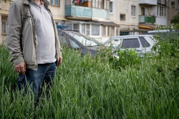 «Гонор надо сбивать»: Косенков требует строже наказывать УК за заросшие дворы
