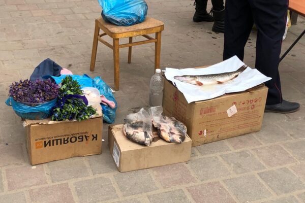 В Тамбове планируют навести порядок на микрорынке на улице Куйбышева
