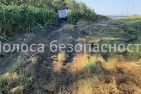 Под Тамбовом фура улетела в кювет из-за пробитого колеса