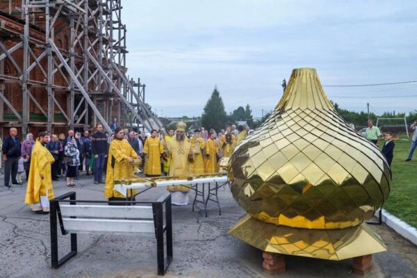 Митрополит Феодосий освятил крест и купол Никольского храма в селе Пушкари под Тамбовом
