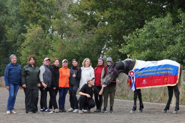 Тамбовские рысаки взяли три приза на соревнованиях «орловцев»