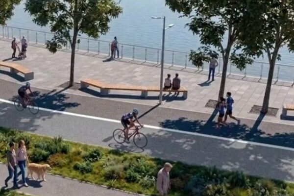Власти Тамбова готовятся выйти на торги по благоустройству Бокинских прудов за 100 млн руб