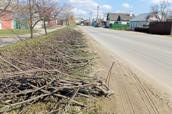Осенний месячник по уборке Тамбова стартует на следующей неделе