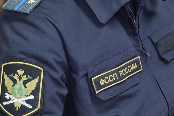 Для сохранения счёта и права на выезд из РФ тамбовчанин оплатил 320 тысяч по алиментам