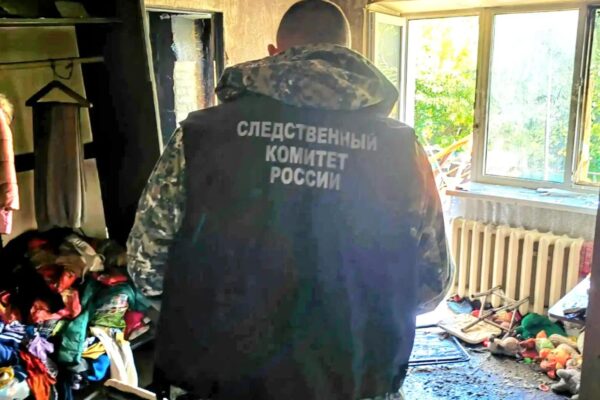 Пенсионерка и двое детей погибли при пожаре в Мичуринске