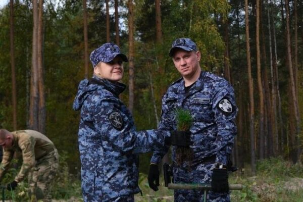 В Тамбовской области с начала года леса восстановили на площади более 710 гектаров