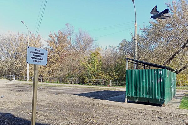В Тамбове на борьбу с мусорными навалами направят 26 спецмашин