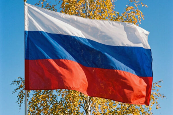 В Тамбове к ноябрю установят 240 флагов на захоронениях участников СВО