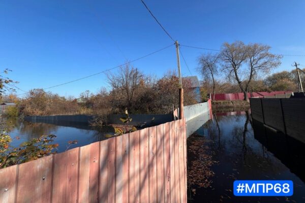 Минэкологии взяло пробы почв на затопленных канализацией дачах в Тамбове