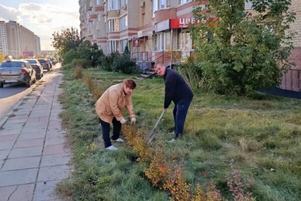 Дирекция благоустройства выделила тамбовчанам более 400 деревьев для высадки в дворах